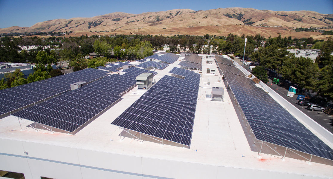 Clean and Renewable Technology - Experience